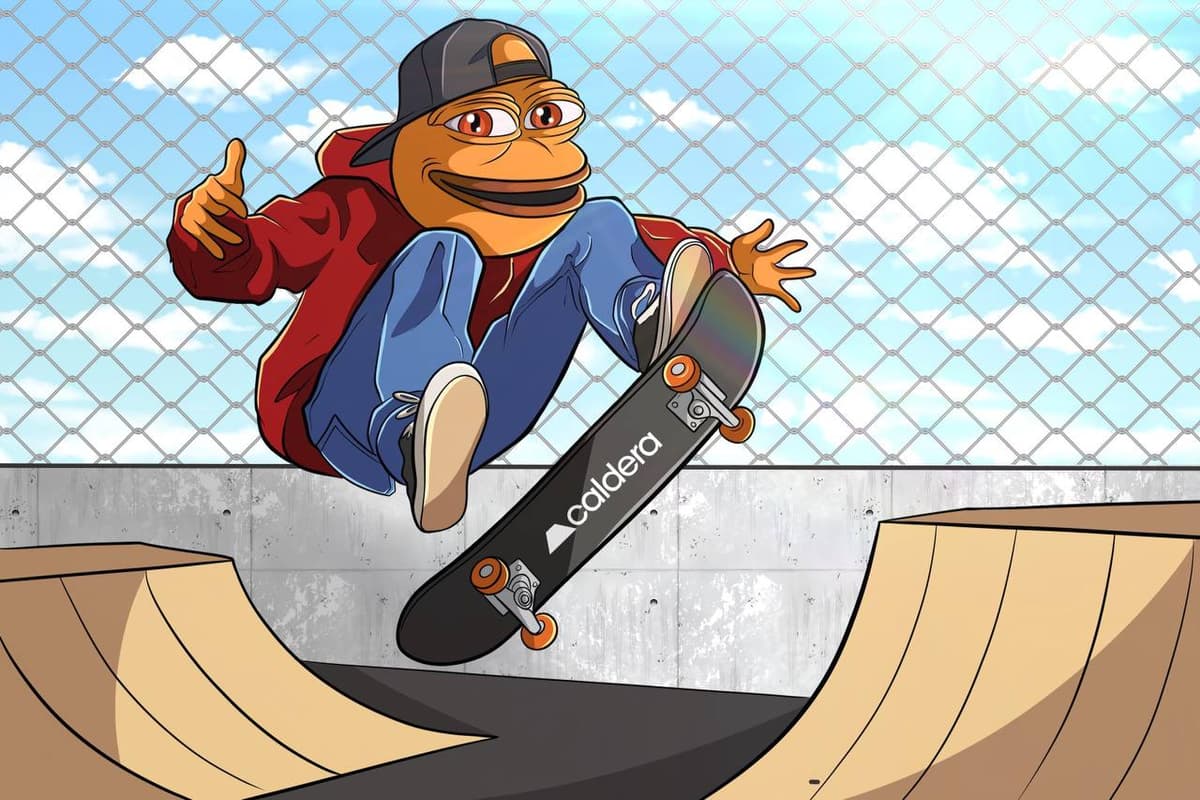 Skateboarding Frog