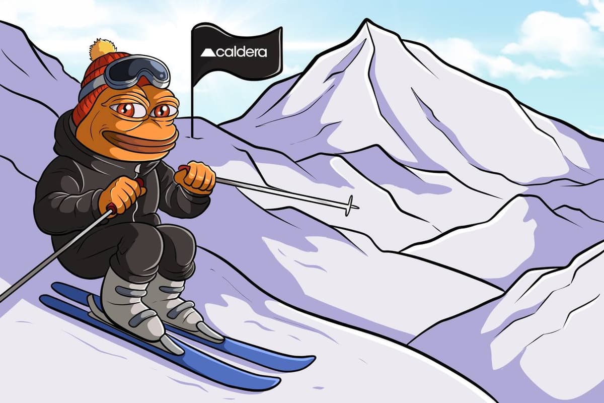Skiing Frog in the Mountains